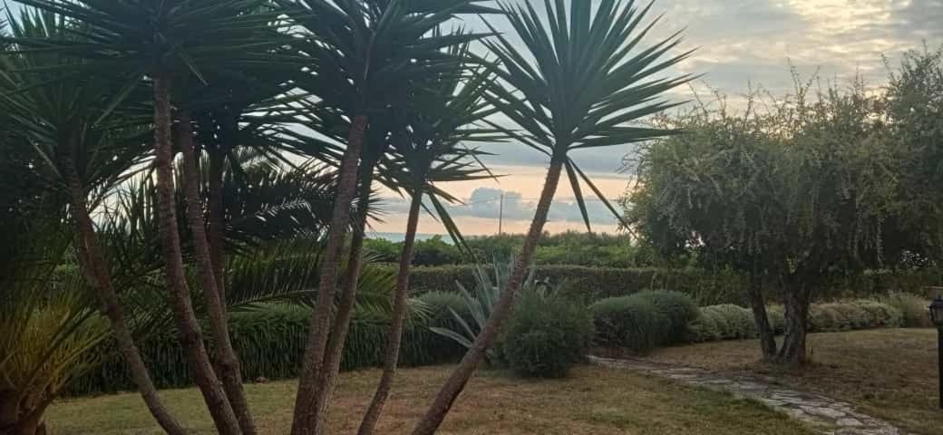 Villa Martina Vasto Bagian luar foto