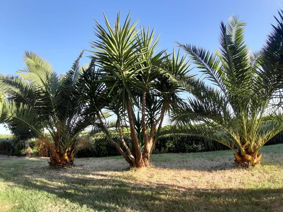 Villa Martina Vasto Bagian luar foto